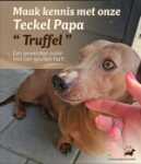 Teckel nestje " Lovely"